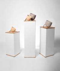 Blox presentatie sokkel trio Art