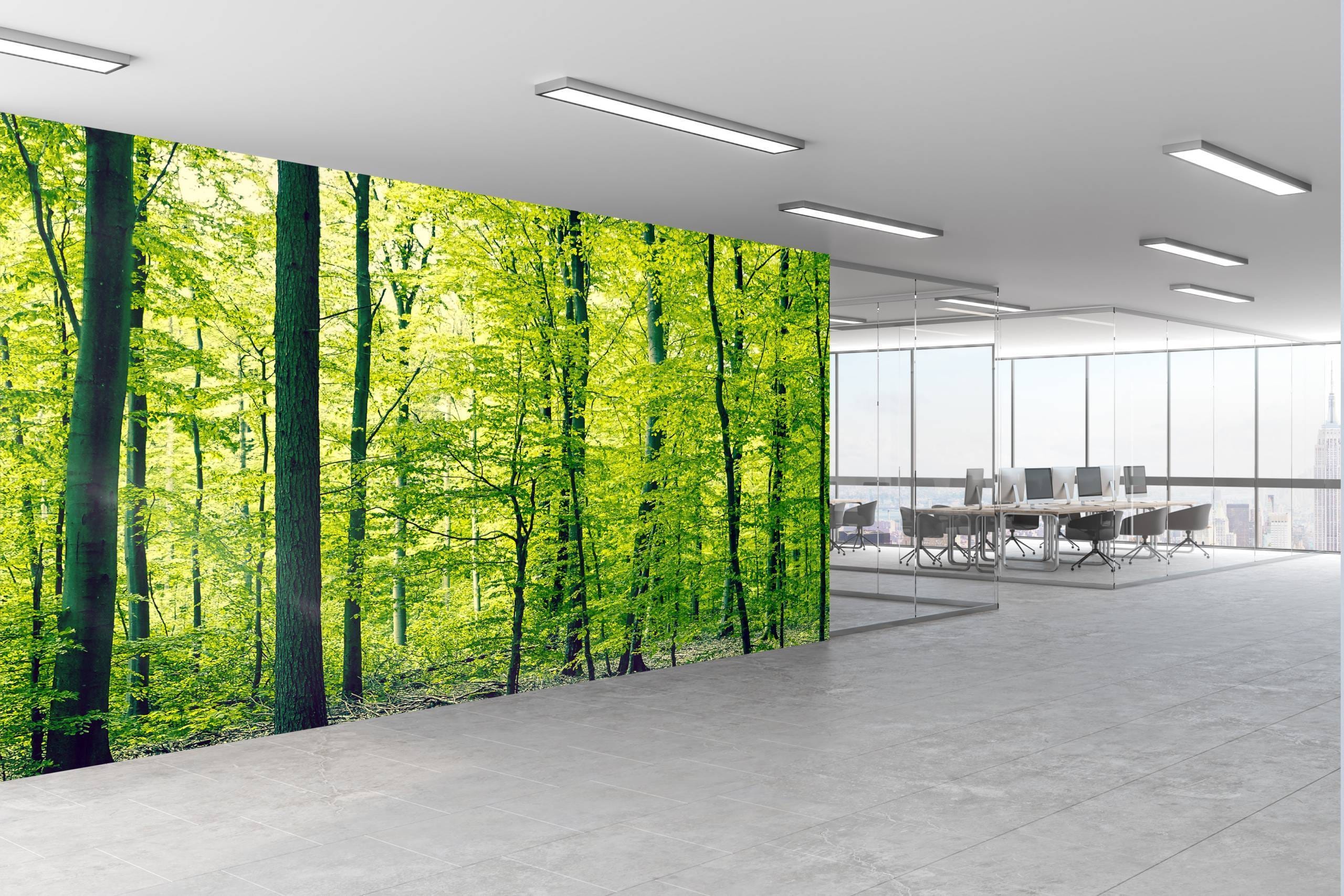 textiel behang office bg bos scaled